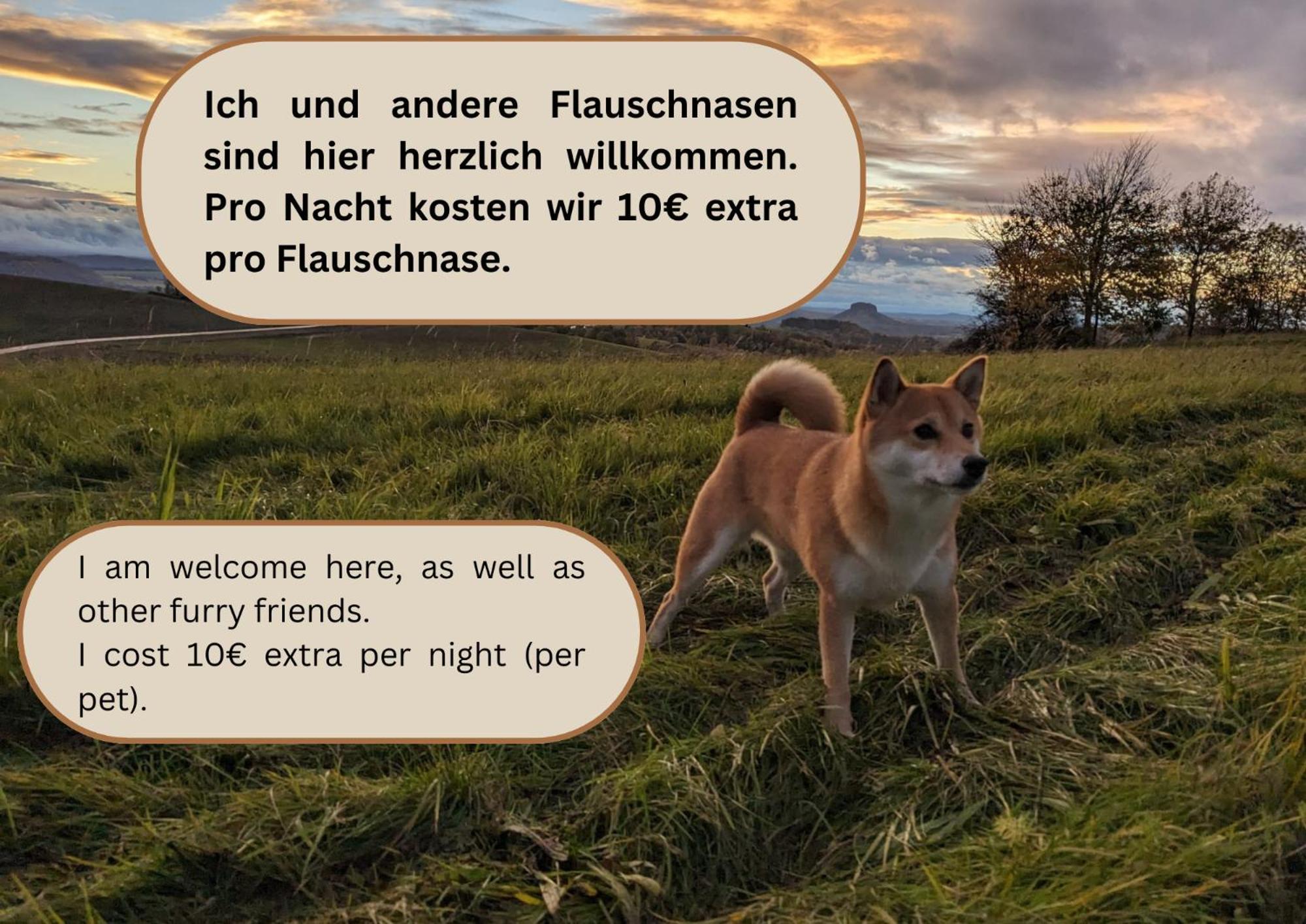 R1 - Urlaubsmagie - Bad Schandau Fusslaeufig, Garten Rathmannsdorf Exteriér fotografie
